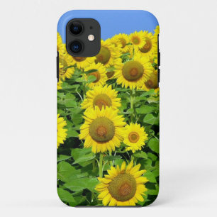 Case-Mate iPhone Case Gisements de tournesol