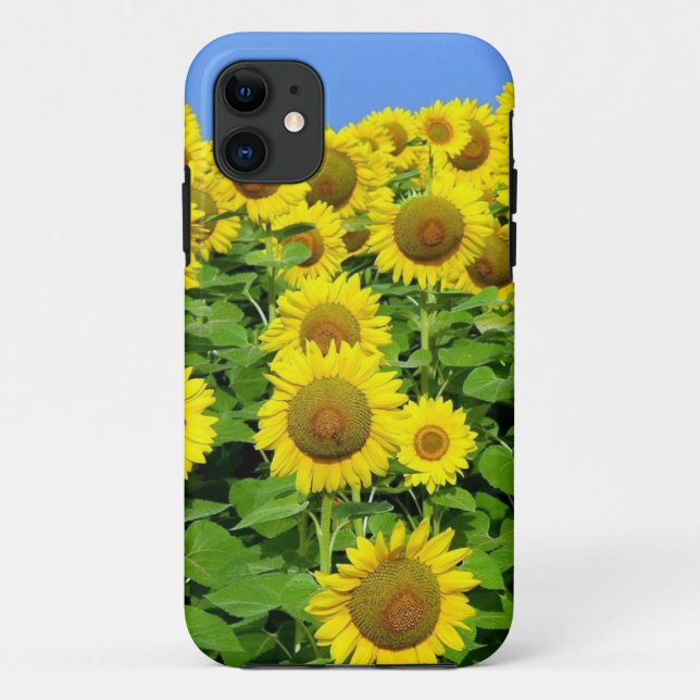Coques Case-Mate iPhone Gisements de tournesol (Dos)
