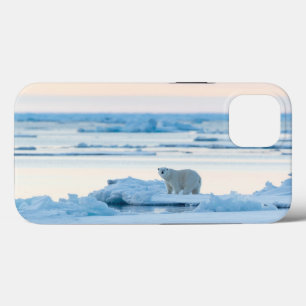 Case-Mate iPhone Case Glace et neige Ours polaire Iceberg Norvège