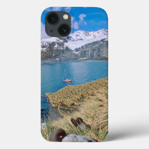 iPhone 13 Case Glaciers and sailing yacht in background