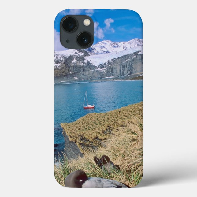 Coques Case-Mate iPhone Glaciers and sailing yacht in background (Verso)