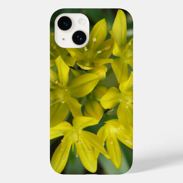 Coques Case-Mate iPhone Gloire de la neige (Verso)