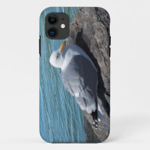 Etui iPhone Case-Mate Goéland de hareng sur la jument de rock