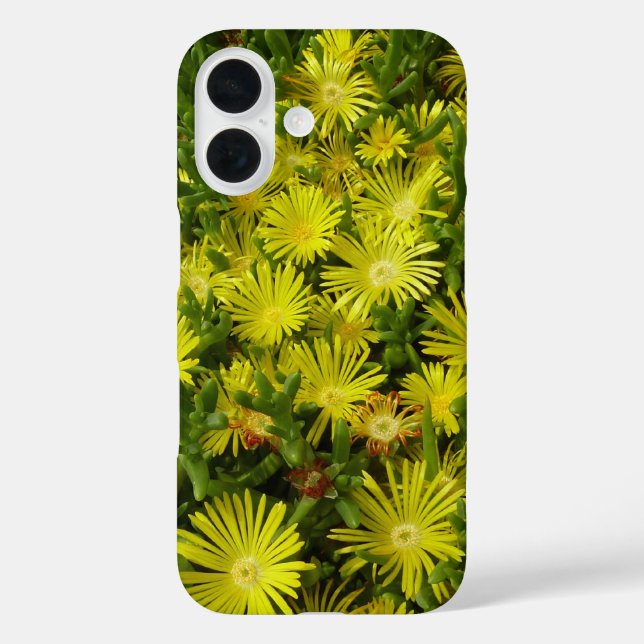 Coques Case-Mate iPhone Golden Ice Plant Yellow Flowers (Verso)