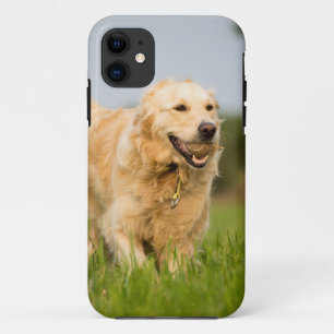Coques Pour iPhone Golden Retriever