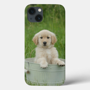 Case-Mate iPhone Case Golden Retriever
