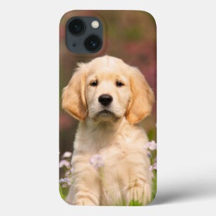 Case-Mate iPhone Case Golden Retriever Chien Cute Goldie Puppy Portrait 