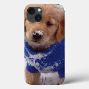Etui iPhone 13 Golden Retriever Puppy