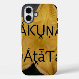 Coques iPhone 16 Plus Golden Star Hakuna Matata
