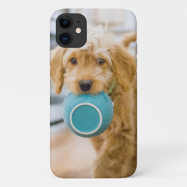 Coques Case-Mate iPhone Goldendoodle Carré Dîner Bowl (Dos)