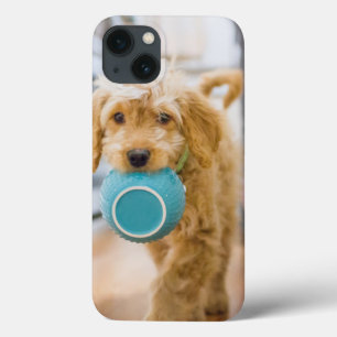 Case-Mate iPhone Case Goldendoodle Carré Dîner Bowl