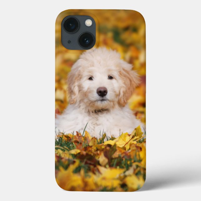 Coques Case-Mate iPhone Goldendoodle Puppy In Fall Leaves (Verso)