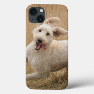 Case-Mate iPhone Case Goldendoodle traverse l'herbe