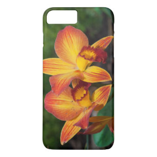 Coque Case-Mate iPhone Gorgeous Orange Yellow Rhyncattleanthe Orchid
