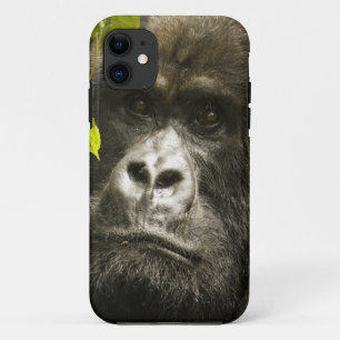 Coques Pour iPhone Gorille des montagnes, Gorilla beringei beringei,