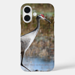 Coque Pour iPhone 16 Graine de Sandhill
