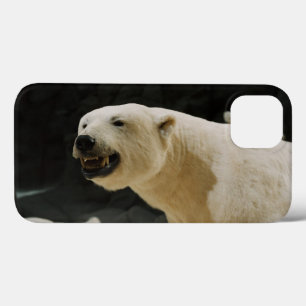 Case-Mate iPhone Case Graine d'ours polaire