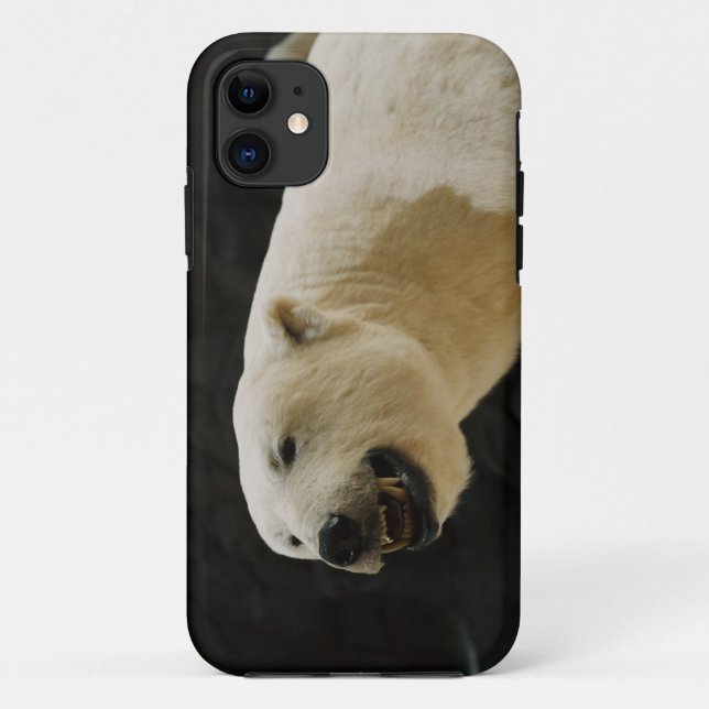Coques Case-Mate iPhone Graine d'ours polaire (Dos)