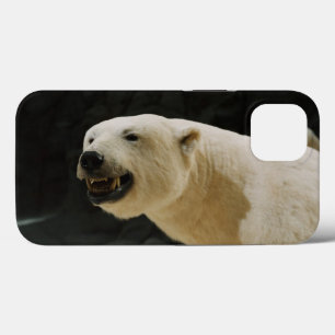 Coques Pour iPhone Graine d'ours polaire
