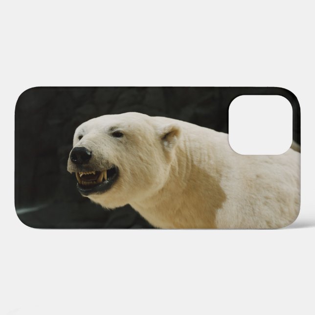 Coques Case-Mate iPhone Graine d'ours polaire (Verso (horizontal))
