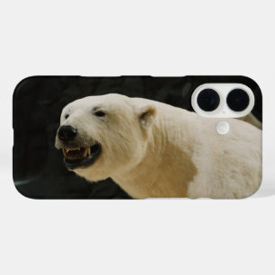 Coque Pour iPhone 16 Graine d'ours polaire