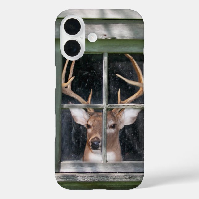 Coques Case-Mate iPhone grand buck dans une fenêtre rustique (Verso)