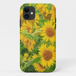 Etui iPhone Case-Mate Grand champ de tournesols près de Moses Lake, WA 2