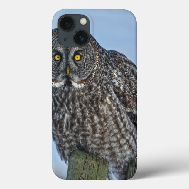 Coques Case-Mate iPhone Grand Chouette gris sur une clôture Photo de la fa (Verso)