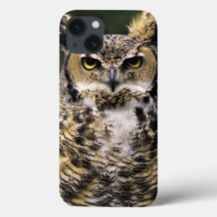 Case-Mate iPhone Case Grand-duc d'Amérique (Bubo virginianus), corps ent