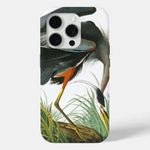 Coque Case-Mate iPhone Grand héron bleu par John James Audubon