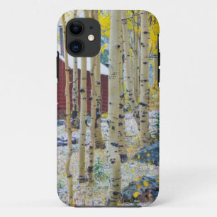 Etui iPhone Case-Mate Grand Mesa Cabane isolée dans une forêt