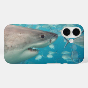 Coque Pour iPhone 16 Grand requin blanc