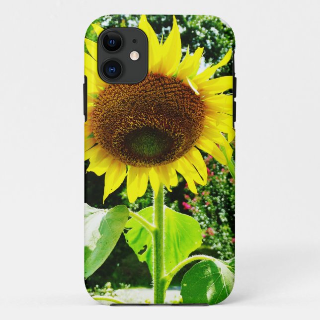 Coques Case-Mate iPhone Grand tournesol jaune (Dos)