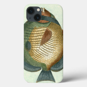 Coques Pour iPhone Grands poissons colorés