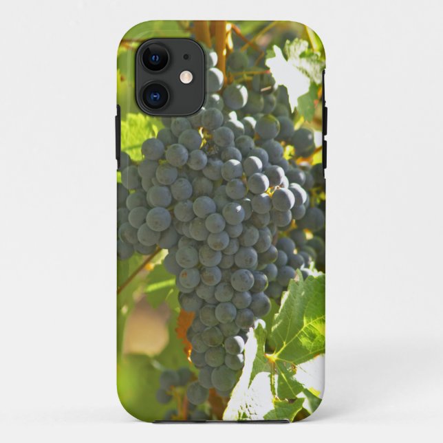 Coques Case-Mate iPhone grappe de Cabernet Sauvignon dans le Château (Dos)