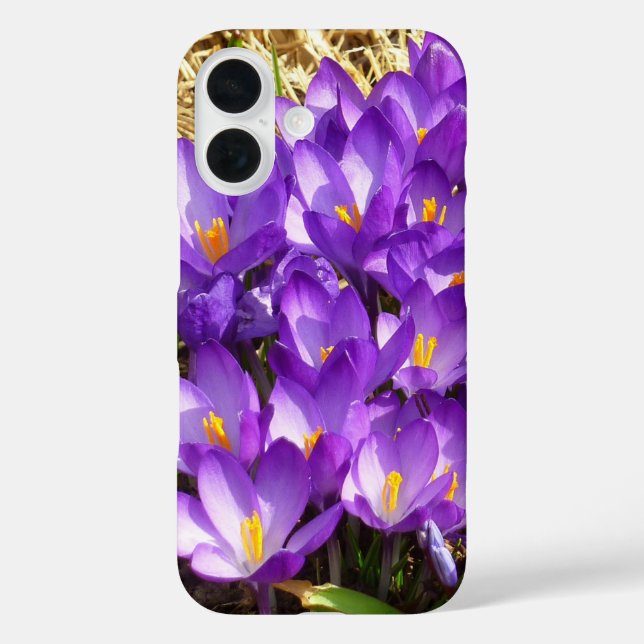 Coques Case-Mate iPhone Grappe de crocus violets Floralaison printanière (Verso)