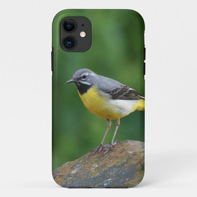 Coques Case-Mate iPhone Gray Wagtail - oiseau (Dos)