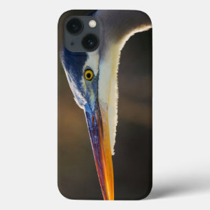 iPhone 13 Case Great Blue Heron, close up portrait