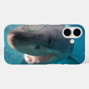 Coque Pour iPhone 16 Great White Shark Smile Teeth Portrait Australie