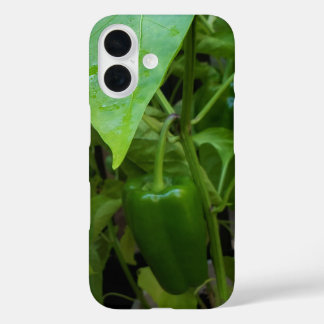 Coque Pour iPhone 16 Green peppers