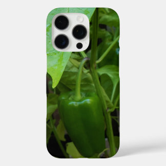 Coque iPhone 16 Pro Green peppers