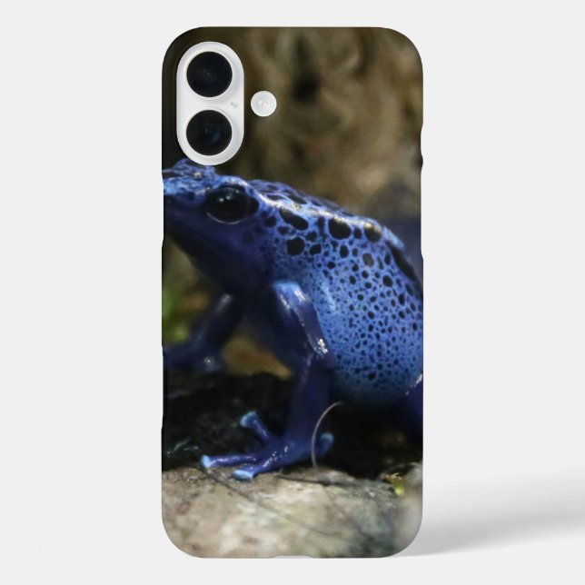 Coques Case-Mate iPhone Grenouille à flèches de poison bleu (Verso)
