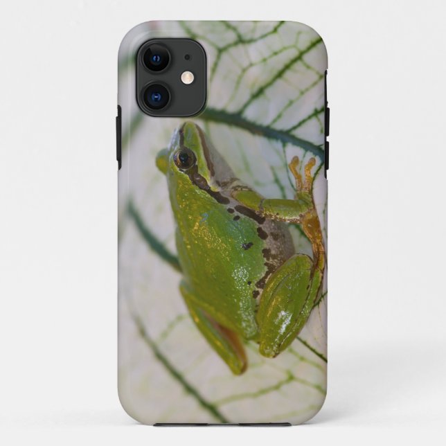 Coques Case-Mate iPhone Grenouille arboricole du Pacifique sur des fleurs  (Dos)