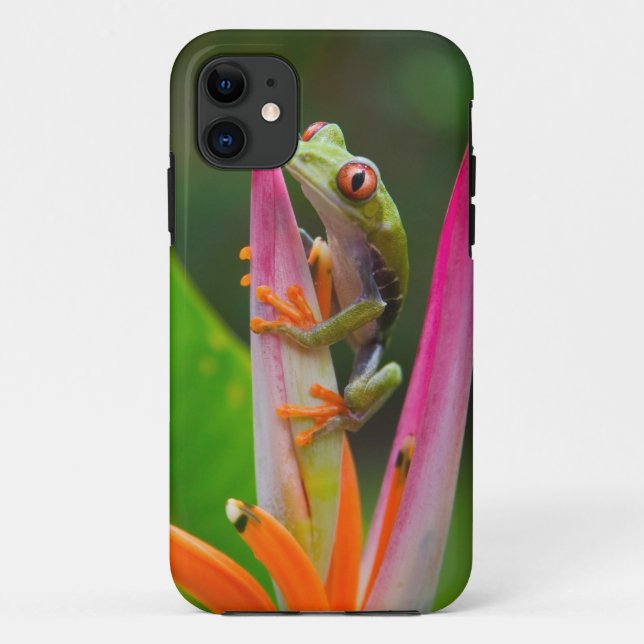 Coques Case-Mate iPhone Grenouille aux yeux rouges, Costa Rica (Dos)