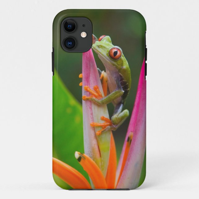 Coques Case-Mate iPhone Grenouille aux yeux rouges, Costa Rica (Dos)