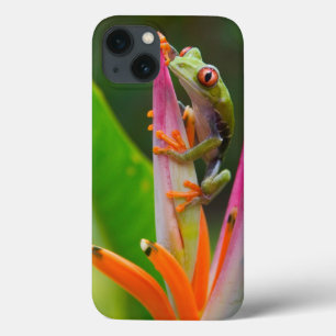 iPhone 13 Coque Grenouille aux yeux rouges, Costa Rica