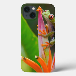 Coque Case-Mate iPhone Grenouille aux yeux rouges, Costa Rica