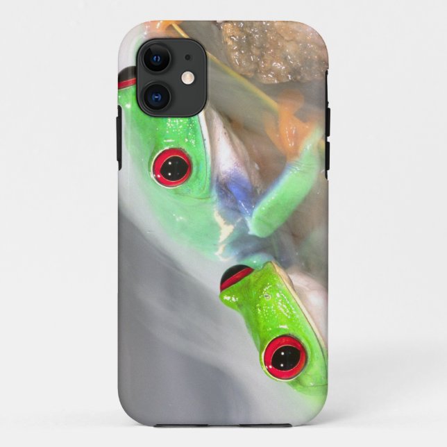 Coques Case-Mate iPhone Grenouille aux yeux rouges dans le brouillard, Aga (Dos)