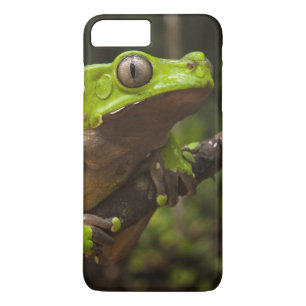 Case-Mate iPhone Case grenouille géante à feuilles (Phyllomedusa bicolor