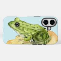Grenouille verte